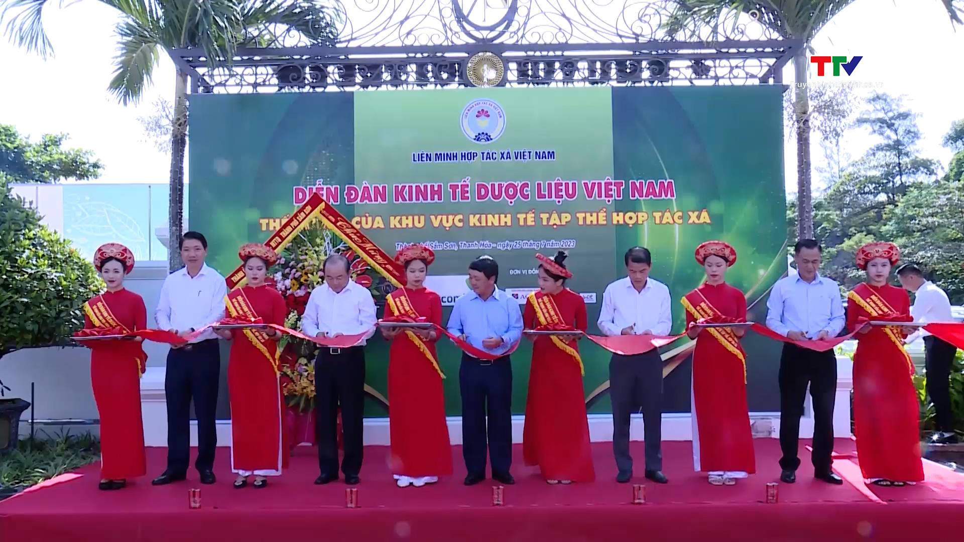 Không có ảnh